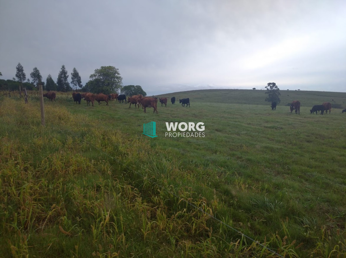 Campo Ref.9 - Excelente campo en ruta 9