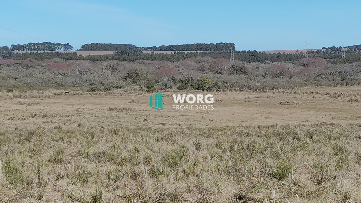 Campo Ref.48 - OPORTUNIDAD