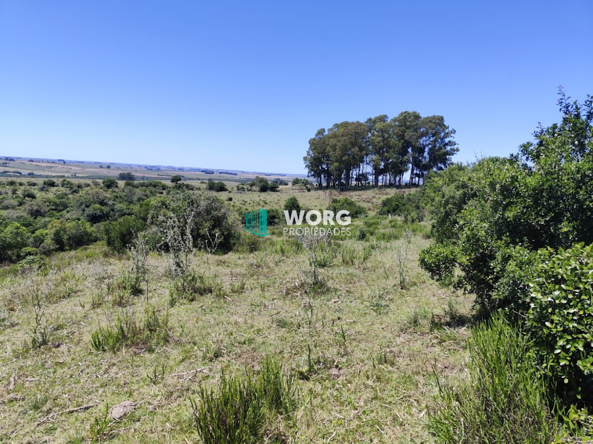 Campo Ref.1 - Excelente campo en Don Carlos