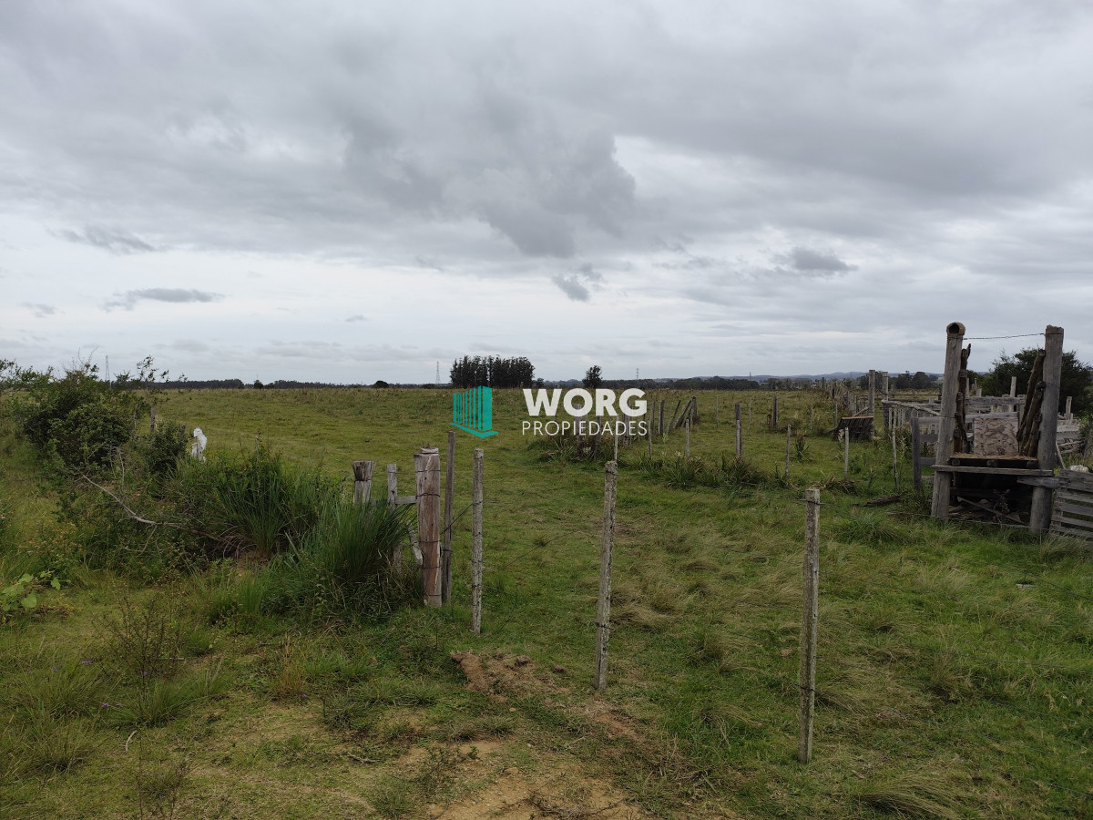 Campo Ref.2 - Excelente campo en La Pantanosa