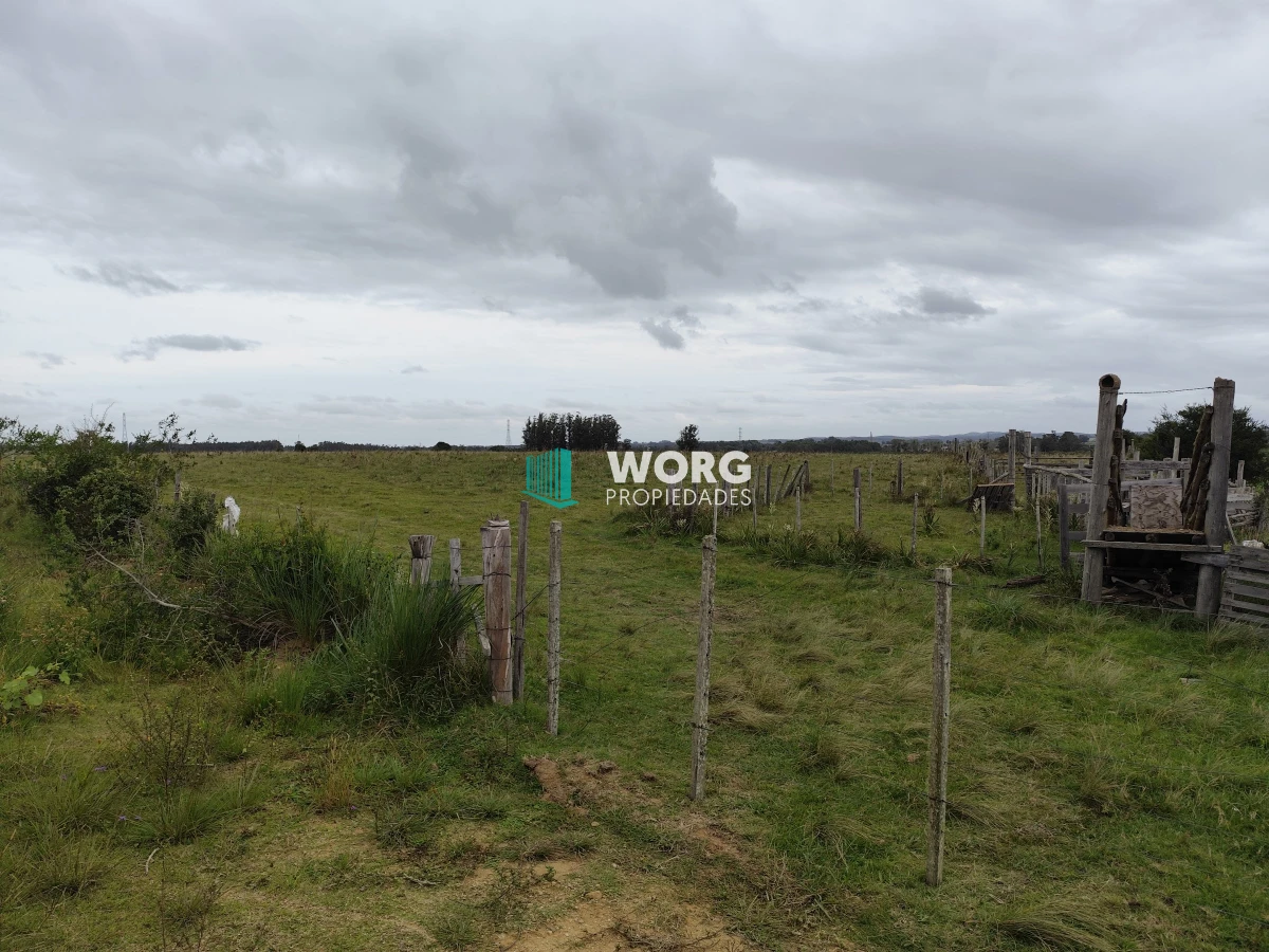 Campo Ref.2 - Excelente campo en La Pantanosa