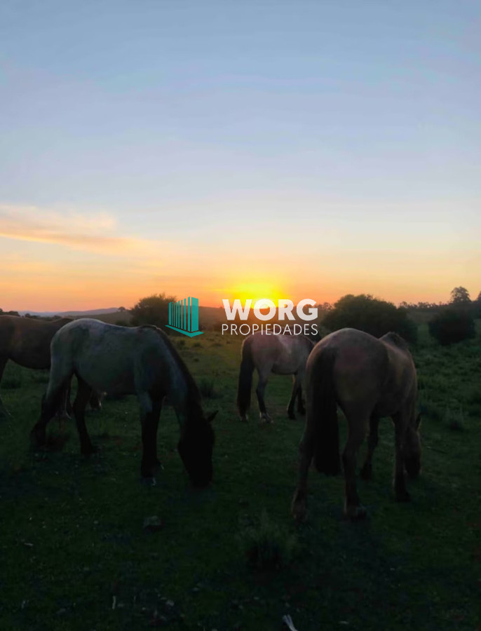 Campo Ref.81 - Hermoso campo de 92 hectáreas