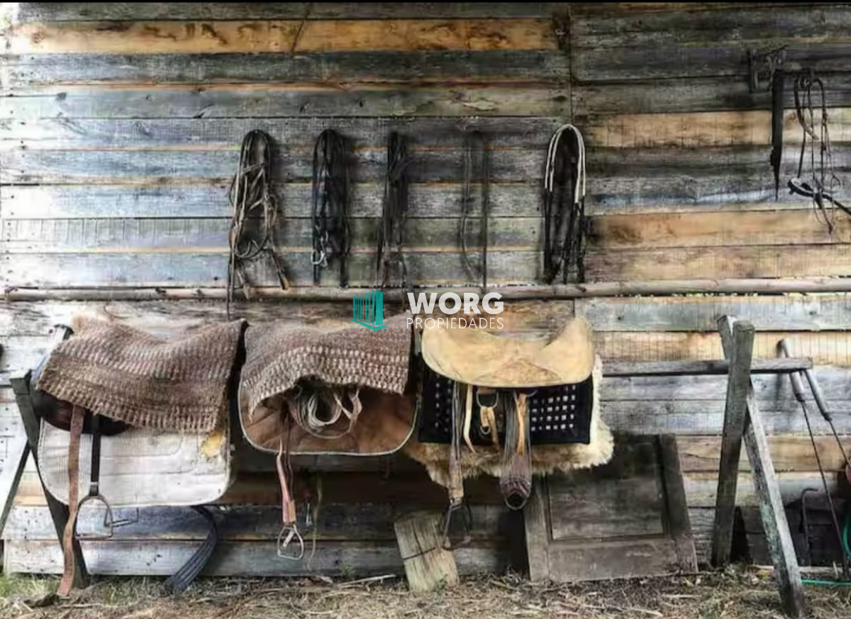 Campo Ref.81 - Hermoso campo de 92 hectáreas