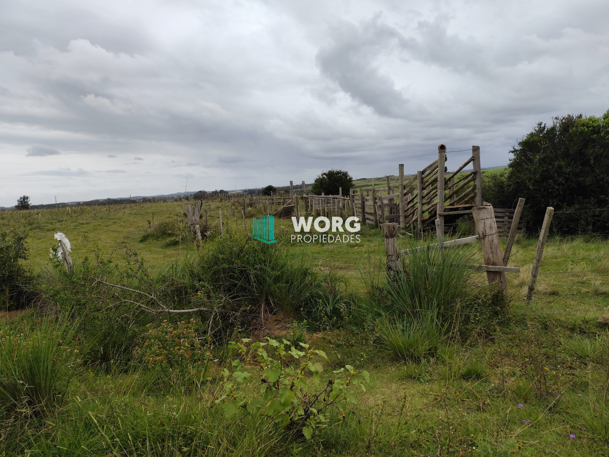 Campo Ref.2 - Excelente campo en La Pantanosa