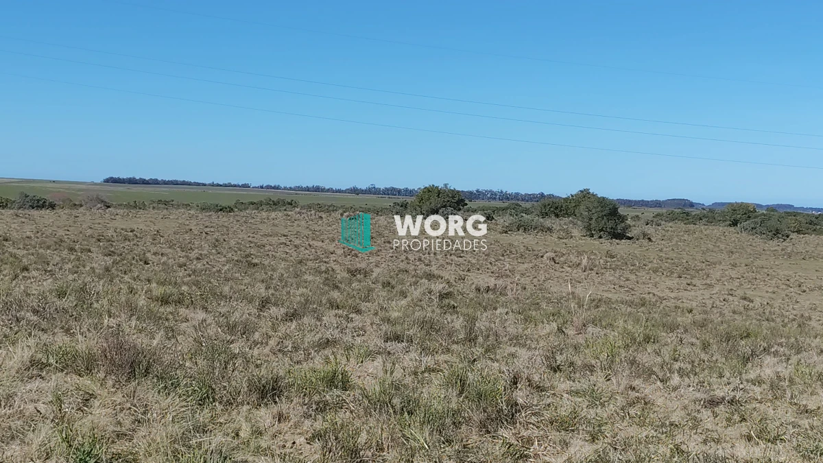 Campo Ref.48 - OPORTUNIDAD