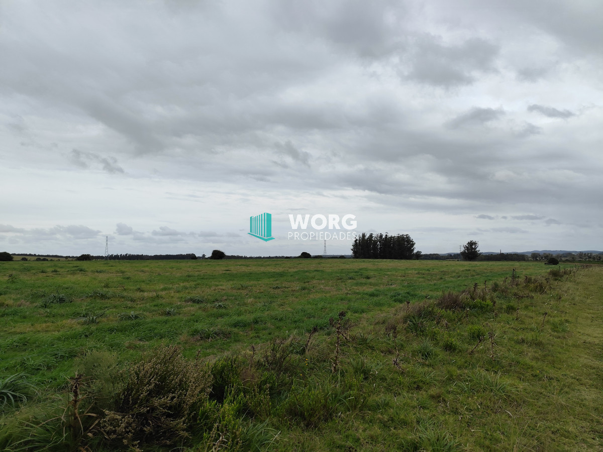 Campo Ref.2 - Excelente campo en La Pantanosa