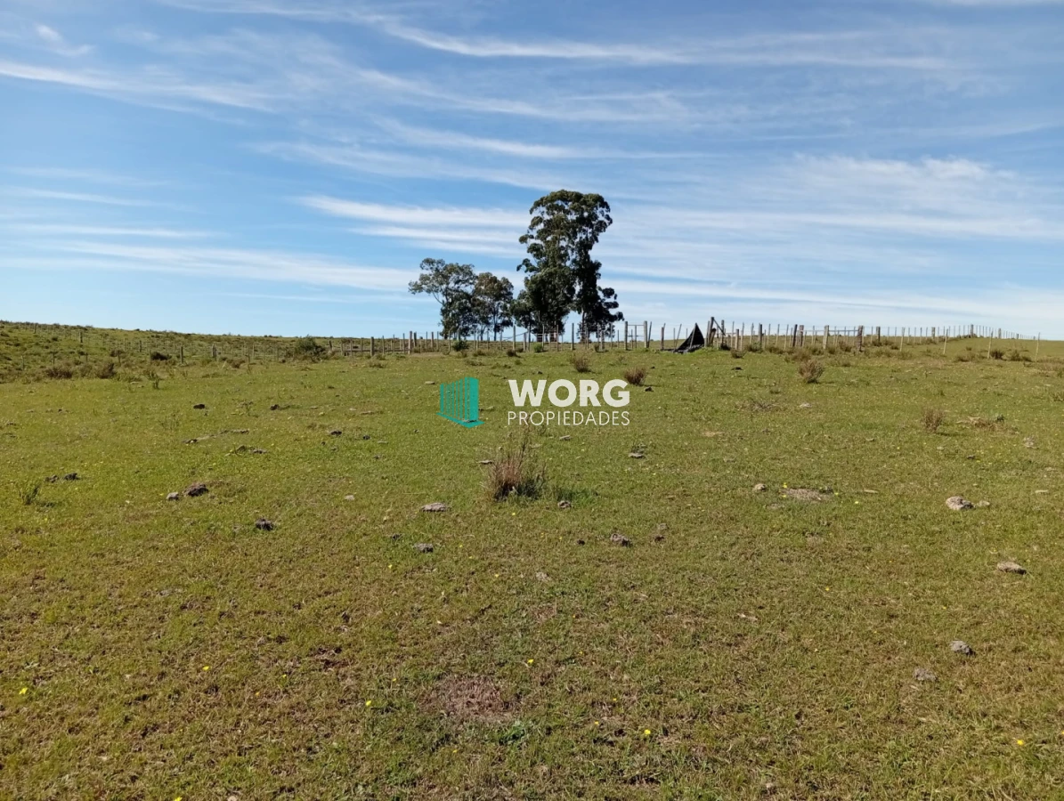 Campo Ref.106 - Excelente campo en Cerro Largo