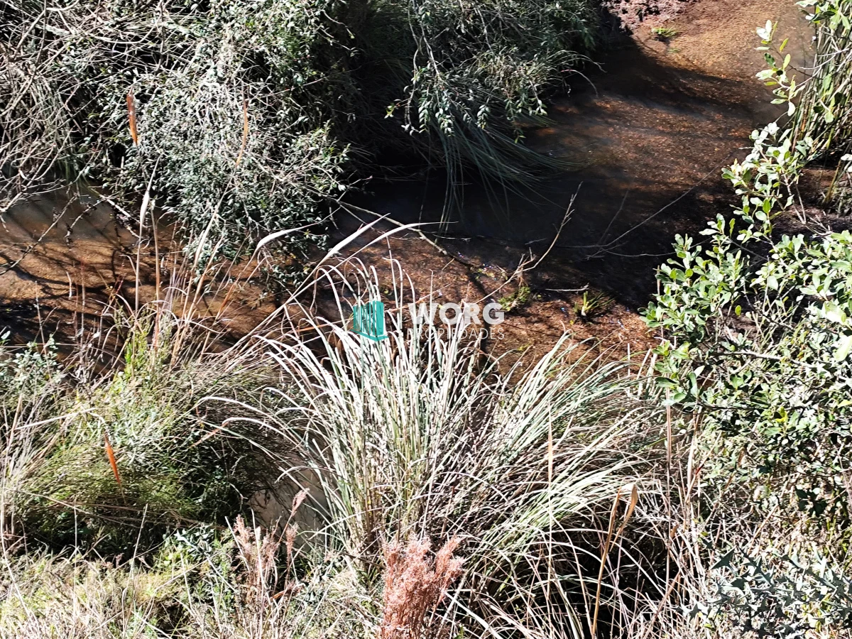 Campo Ref.48 - OPORTUNIDAD