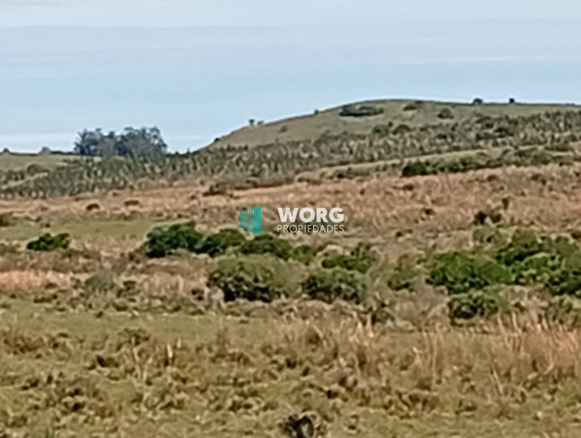Campo Ref.106 - Excelente campo en Cerro Largo