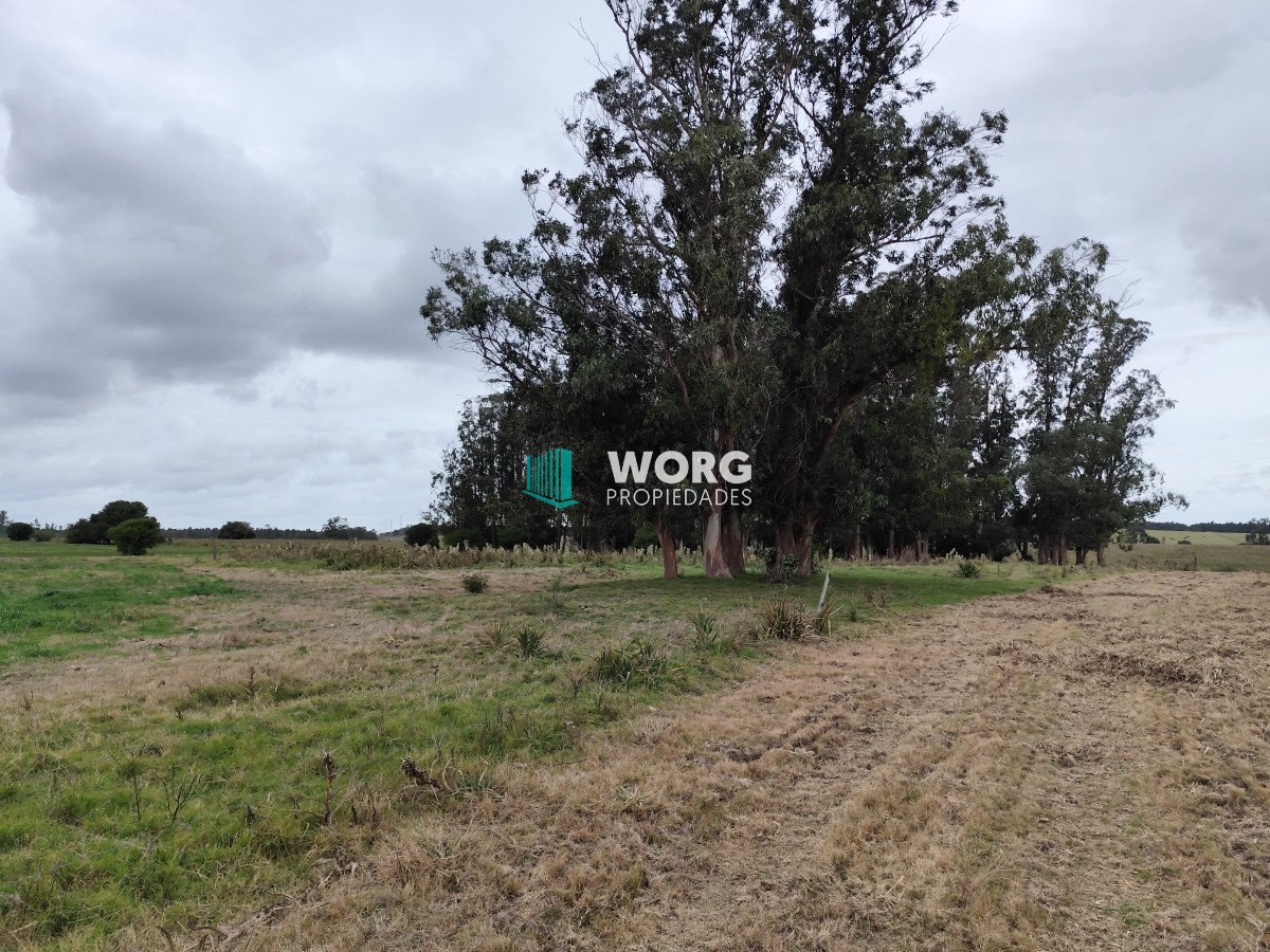 Campo Ref.2 - Excelente campo en La Pantanosa