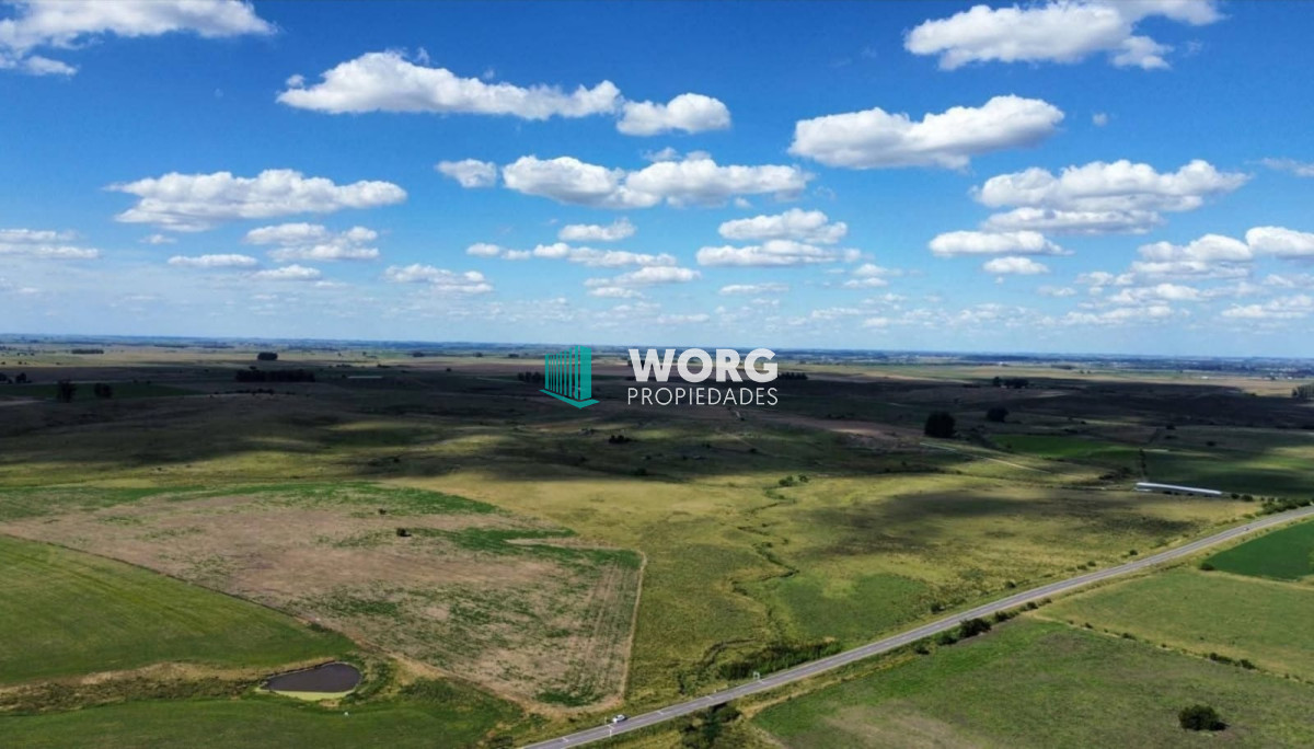 Campo Ref.66 - Campo agricola ganadero en Florida