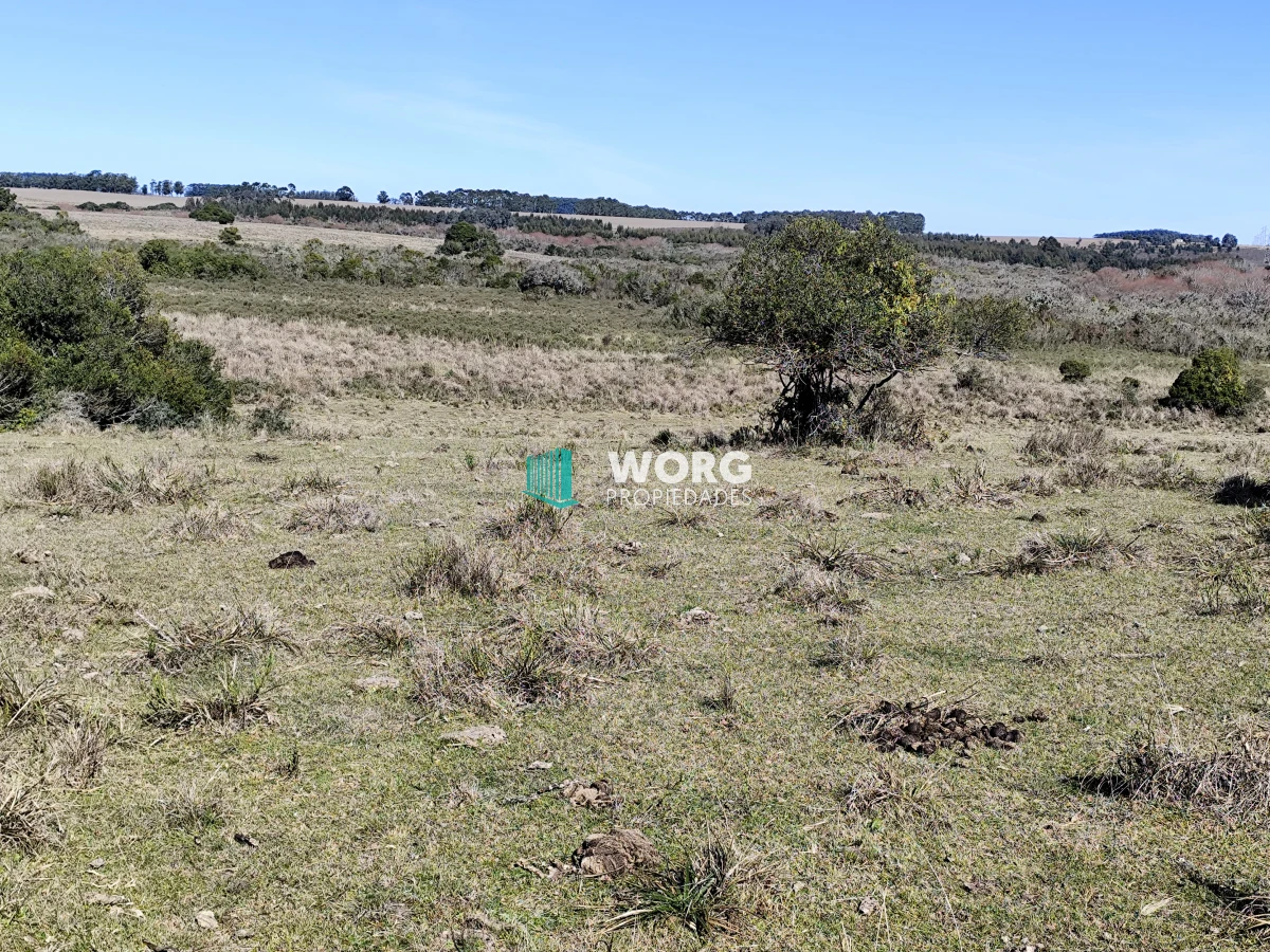 Campo Ref.48 - OPORTUNIDAD