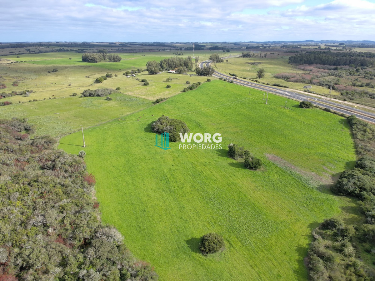 Campo Ref.27 - Excelente campo en en el sauce Rocha