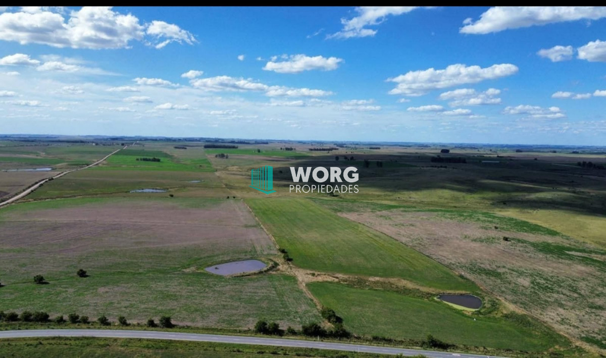 Campo Ref.66 - Campo agricola ganadero en Florida