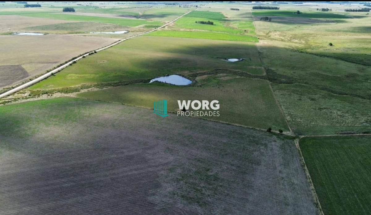 Campo Ref.66 - Campo agricola ganadero en Florida