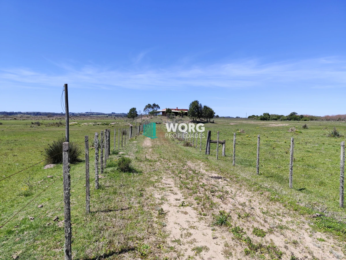 Campo Ref.23 - Campo de 37 hectáreas sobre ruta 39