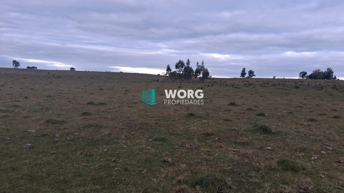 Campo Ref.107 - Excelente campo agrícola ganadero