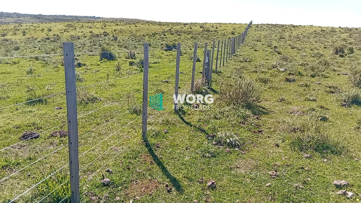 Campo Ref.106 - Excelente campo en Cerro Largo