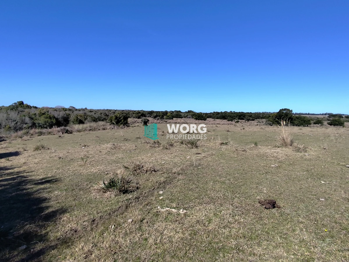 Campo Ref.48 - OPORTUNIDAD