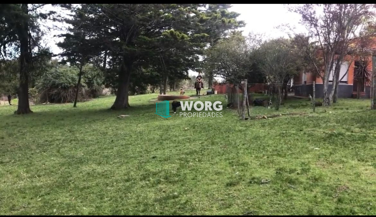 Campo Ref.90 - Excelente campo ganadero en Mariscala