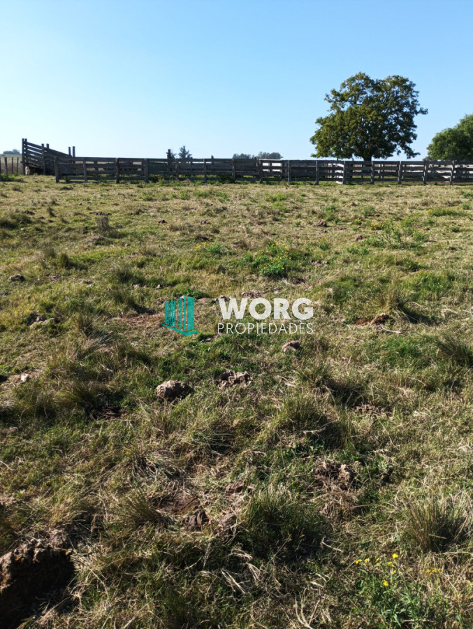 Campo Ref.105 - Hermoso campo agrícola ganadero en Lavalleja