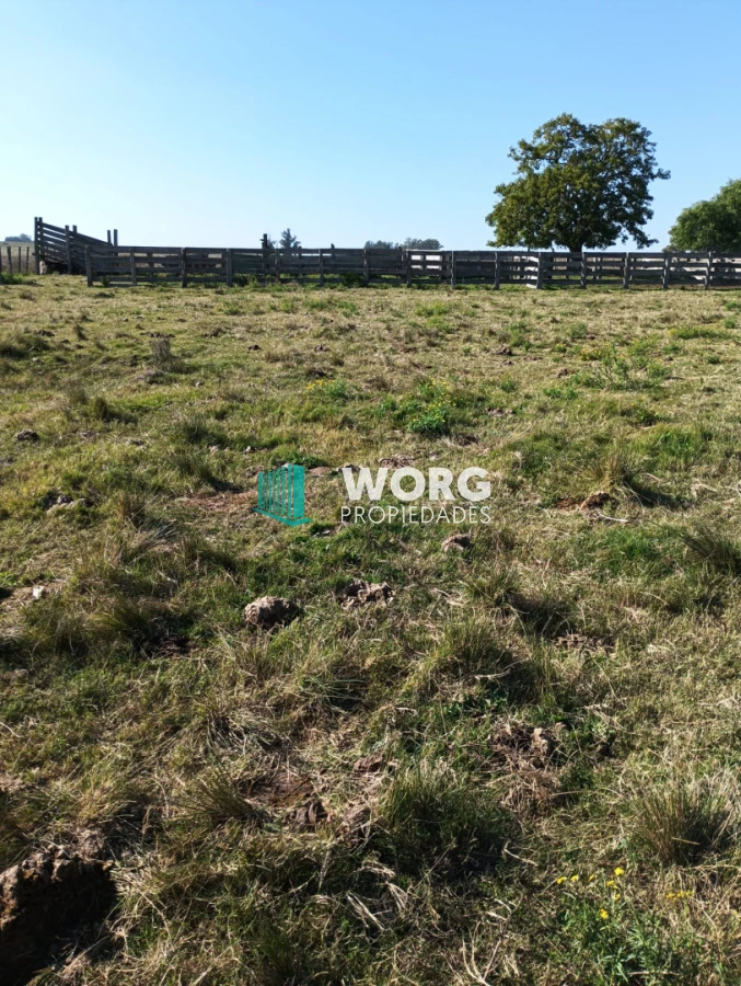 Campo Ref.105 - Hermoso campo agrícola ganadero en Lavalleja