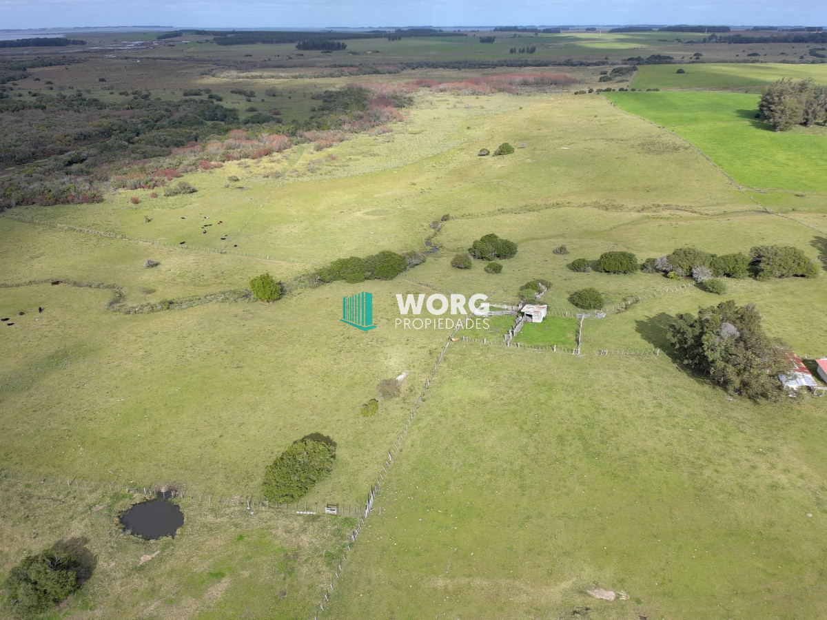 Campo Ref.27 - Excelente campo en en el sauce Rocha