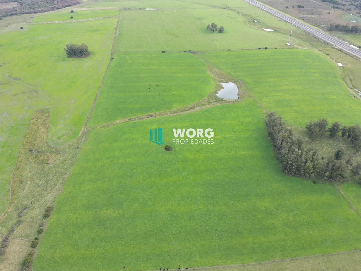 Campo Ref.27 - Excelente campo en en el sauce Rocha