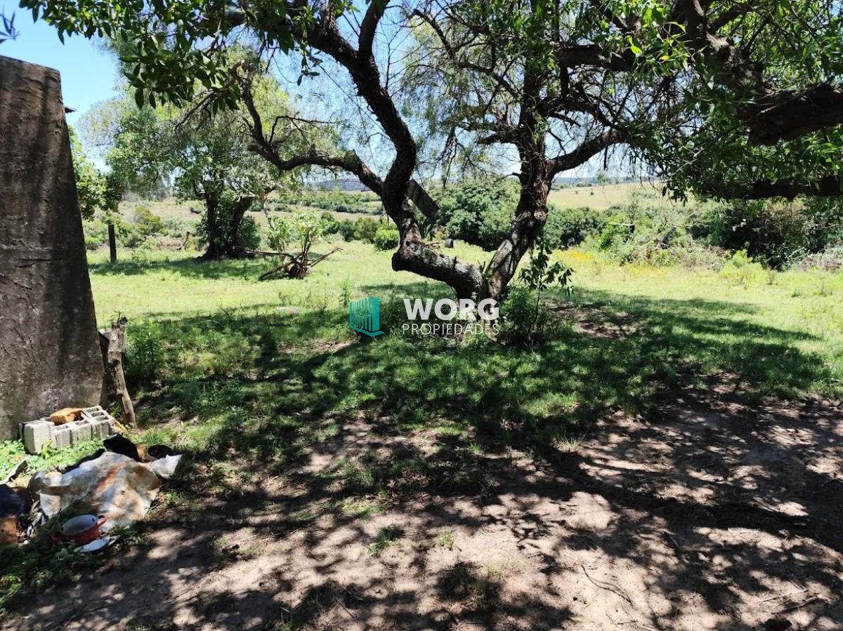 Campo Ref.1 - Excelente campo en Don Carlos