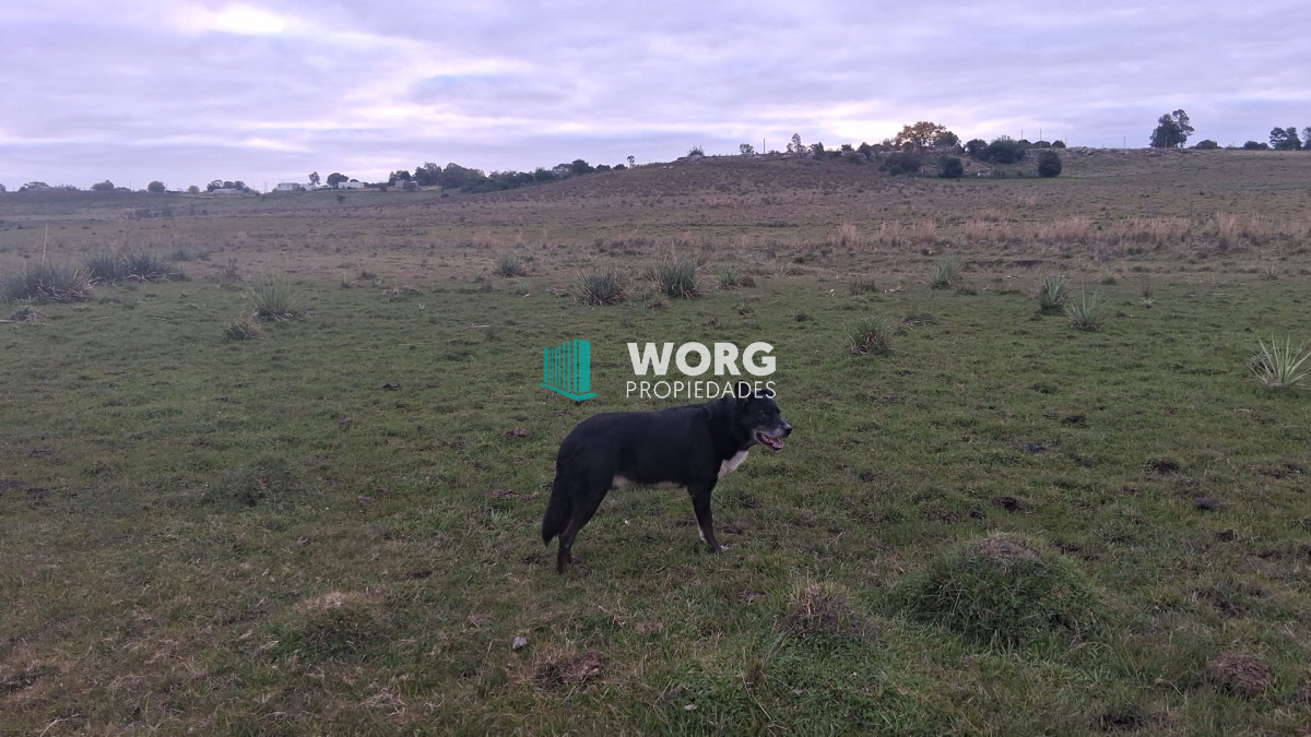 Campo Ref.107 - Excelente campo agrícola ganadero