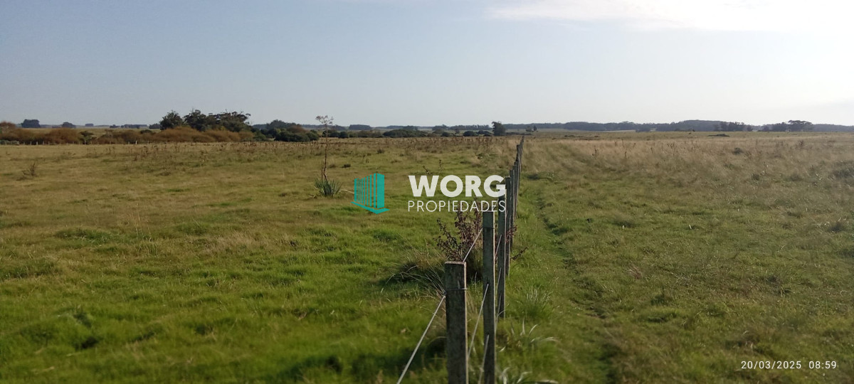 Campo Ref.41 - Excelente campo en Las Garzas