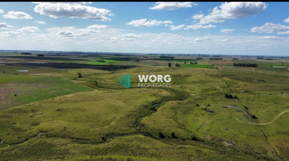 Campo Ref.66 - Campo agricola ganadero en Florida