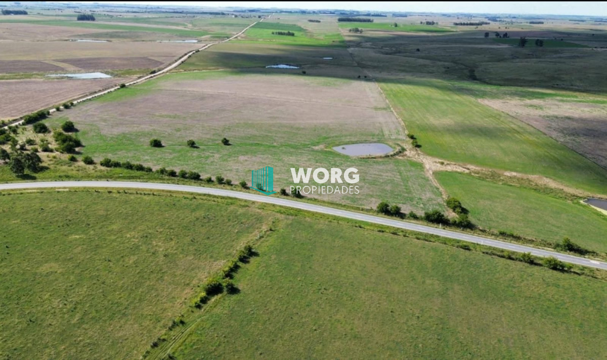 Campo Ref.66 - Campo agricola ganadero en Florida