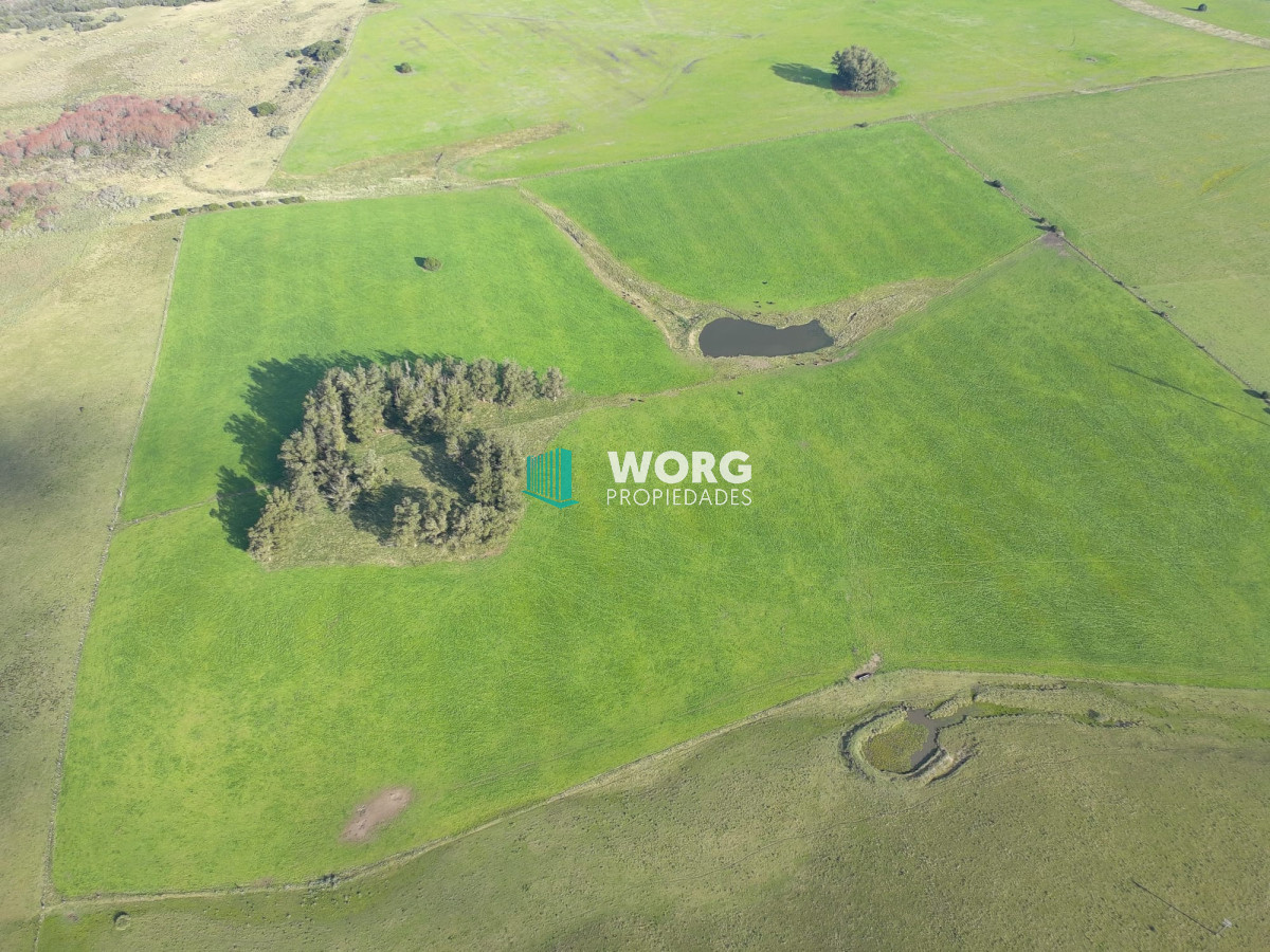 Campo Ref.27 - Excelente campo en en el sauce Rocha