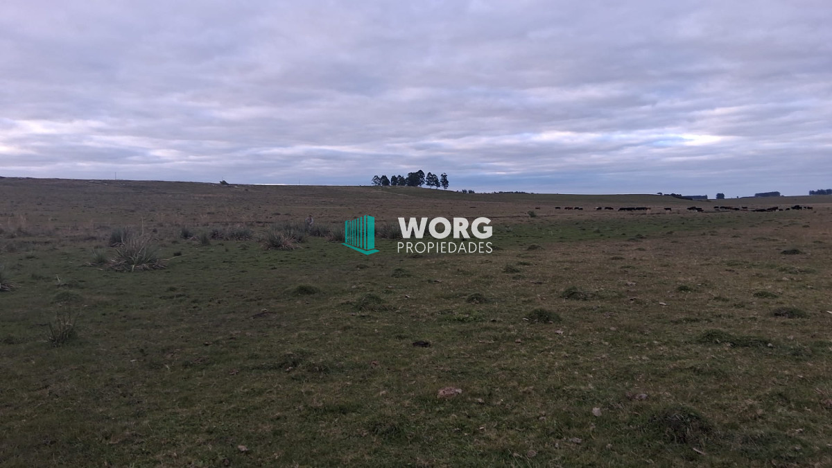 Campo Ref.107 - Excelente campo agrícola ganadero