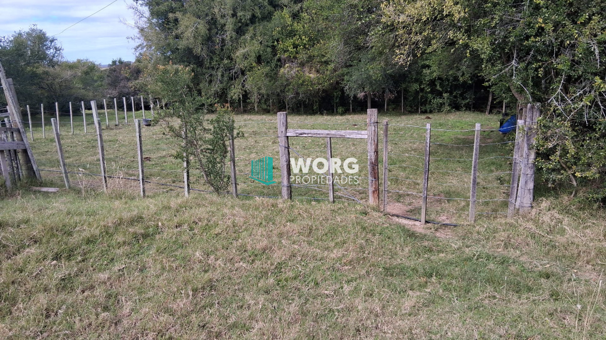Campo Ref.107 - Excelente campo agrícola ganadero
