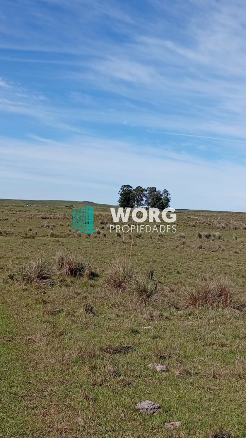 Campo Ref.106 - Excelente campo en Cerro Largo