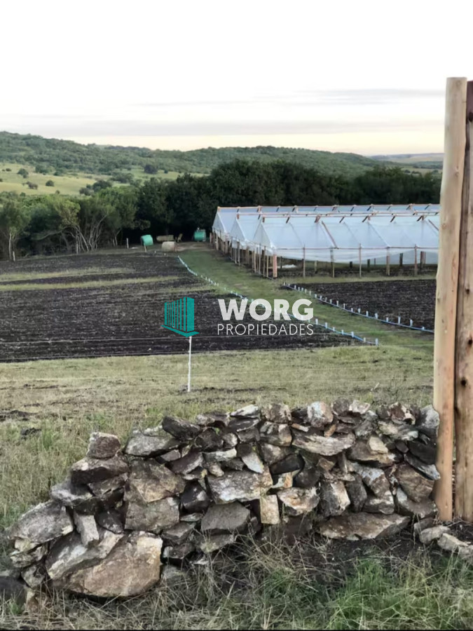 Campo Ref.81 - Hermoso campo de 92 hectáreas