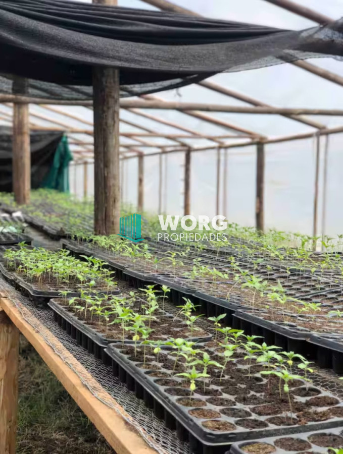 Campo Ref.81 - Hermoso campo de 92 hectáreas