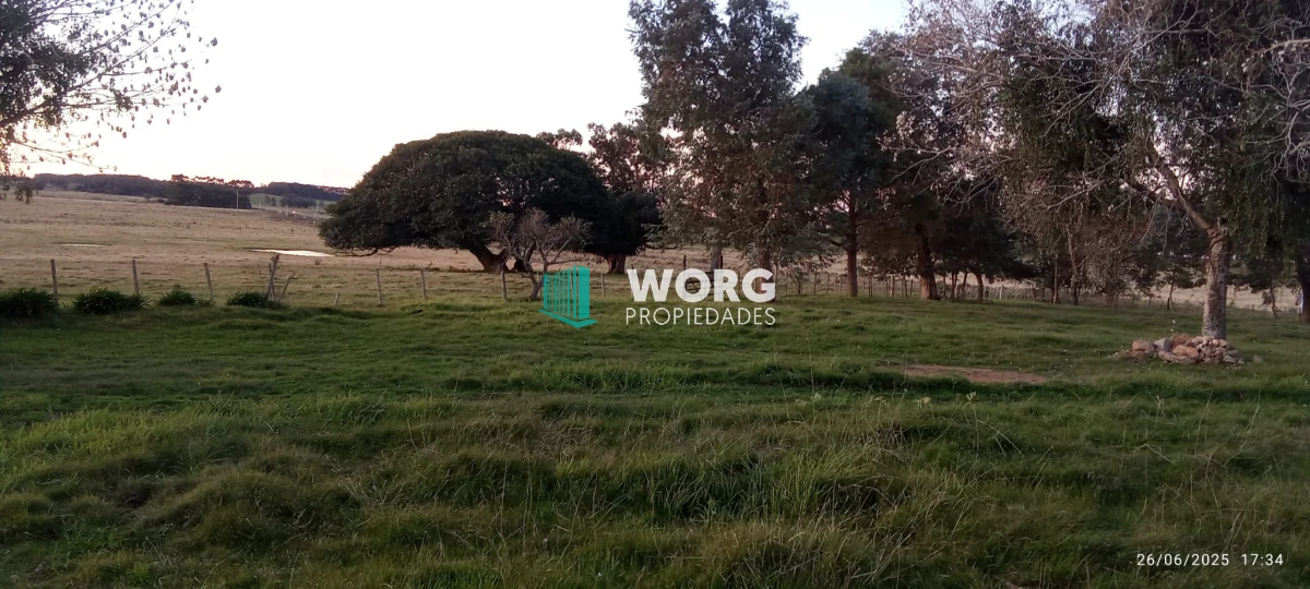 Campo Ref.41 - Excelente campo en Las Garzas