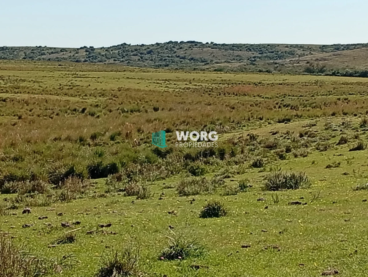 Campo Ref.106 - Excelente campo en Cerro Largo