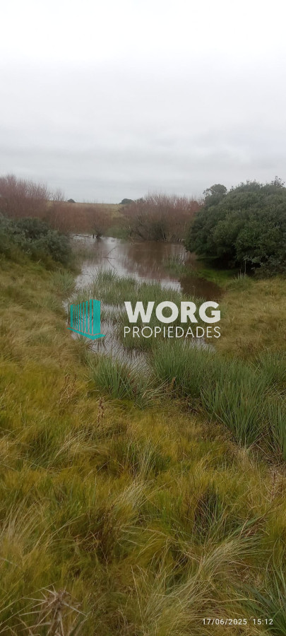 Campo Ref.41 - Excelente campo en Las Garzas