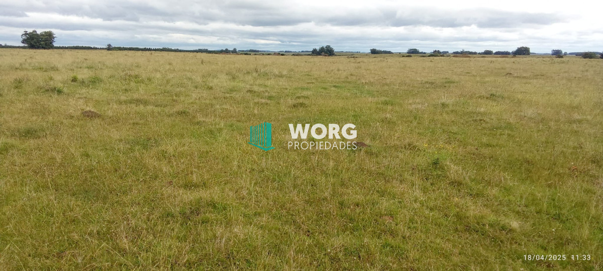 Campo Ref.41 - Excelente campo en Las Garzas