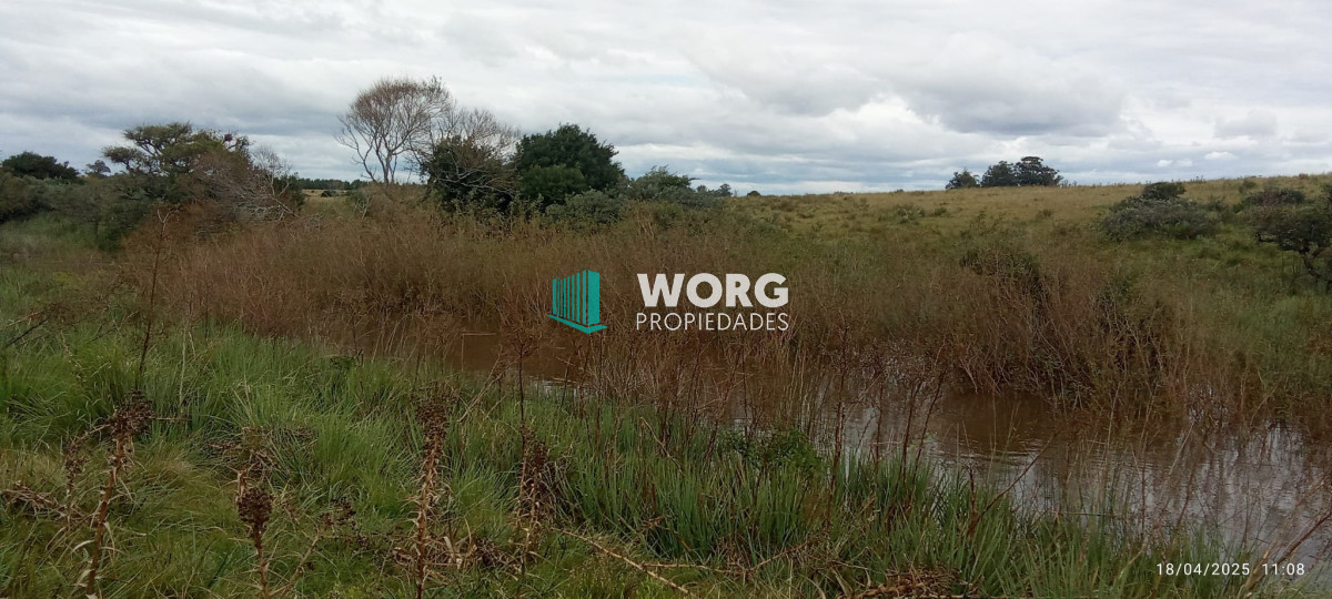 Campo Ref.41 - Excelente campo en Las Garzas