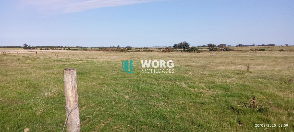 Campo Ref.41 - Excelente campo en Las Garzas