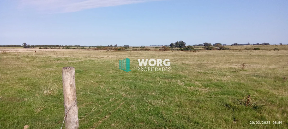 Campo Ref.41 - Excelente campo en Las Garzas