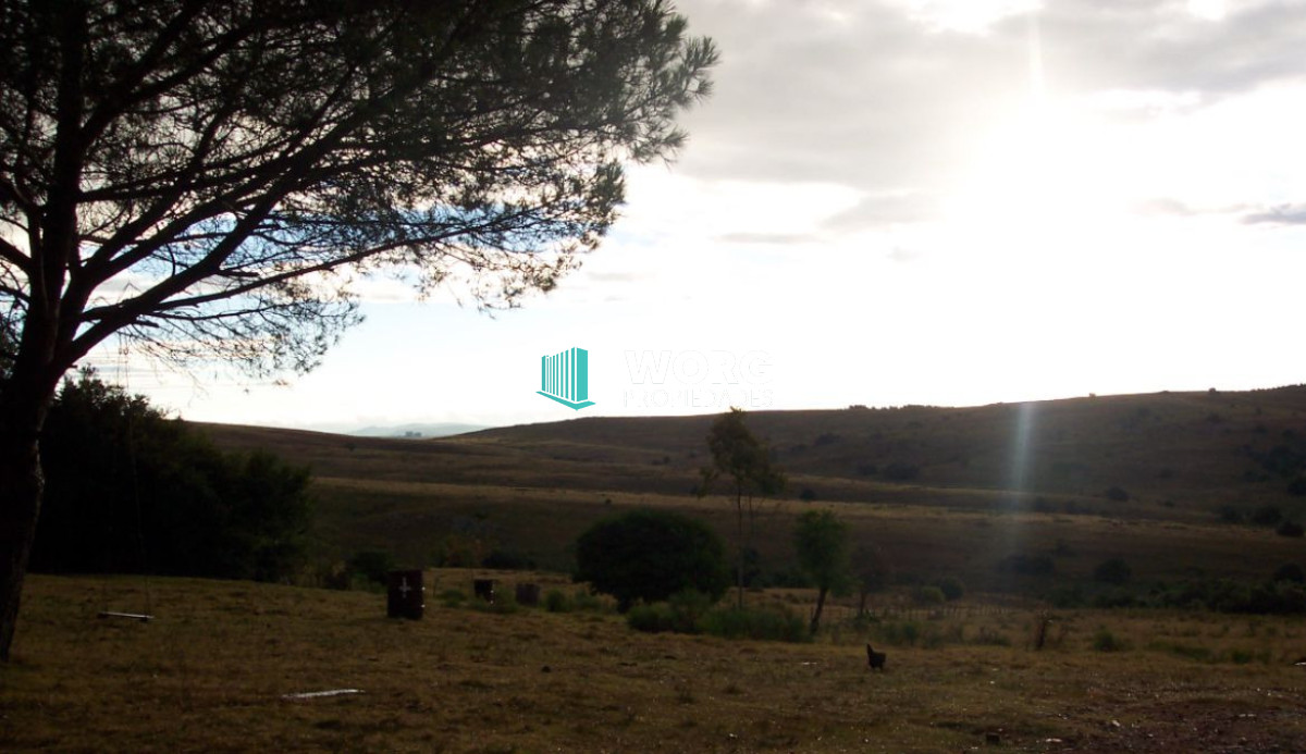 Campo Ref.90 - Excelente campo ganadero en Mariscala