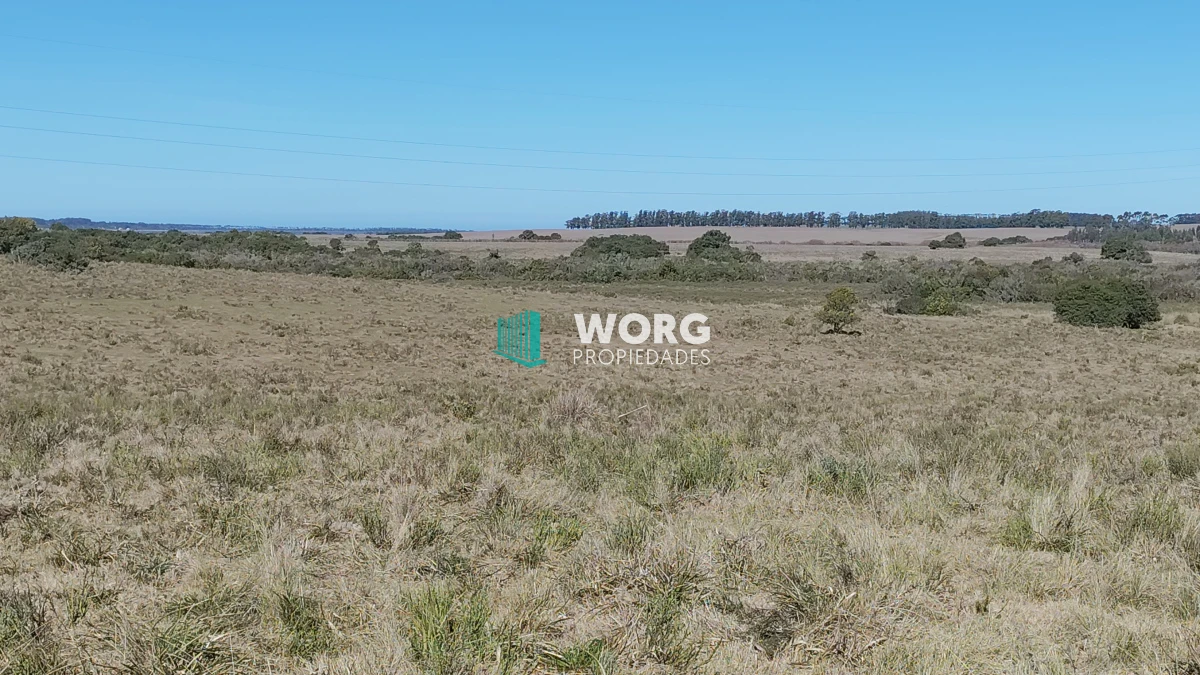 Campo Ref.48 - OPORTUNIDAD