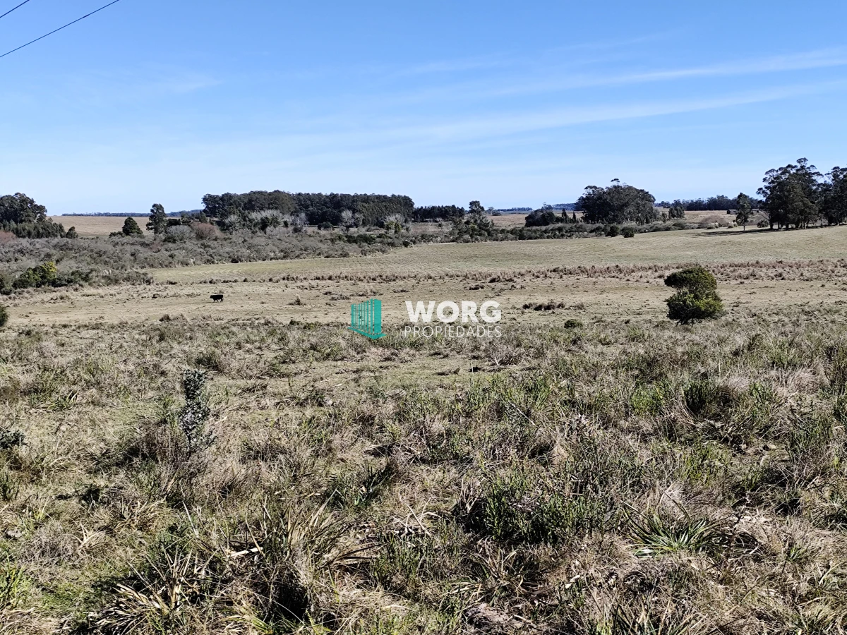 Campo Ref.48 - OPORTUNIDAD