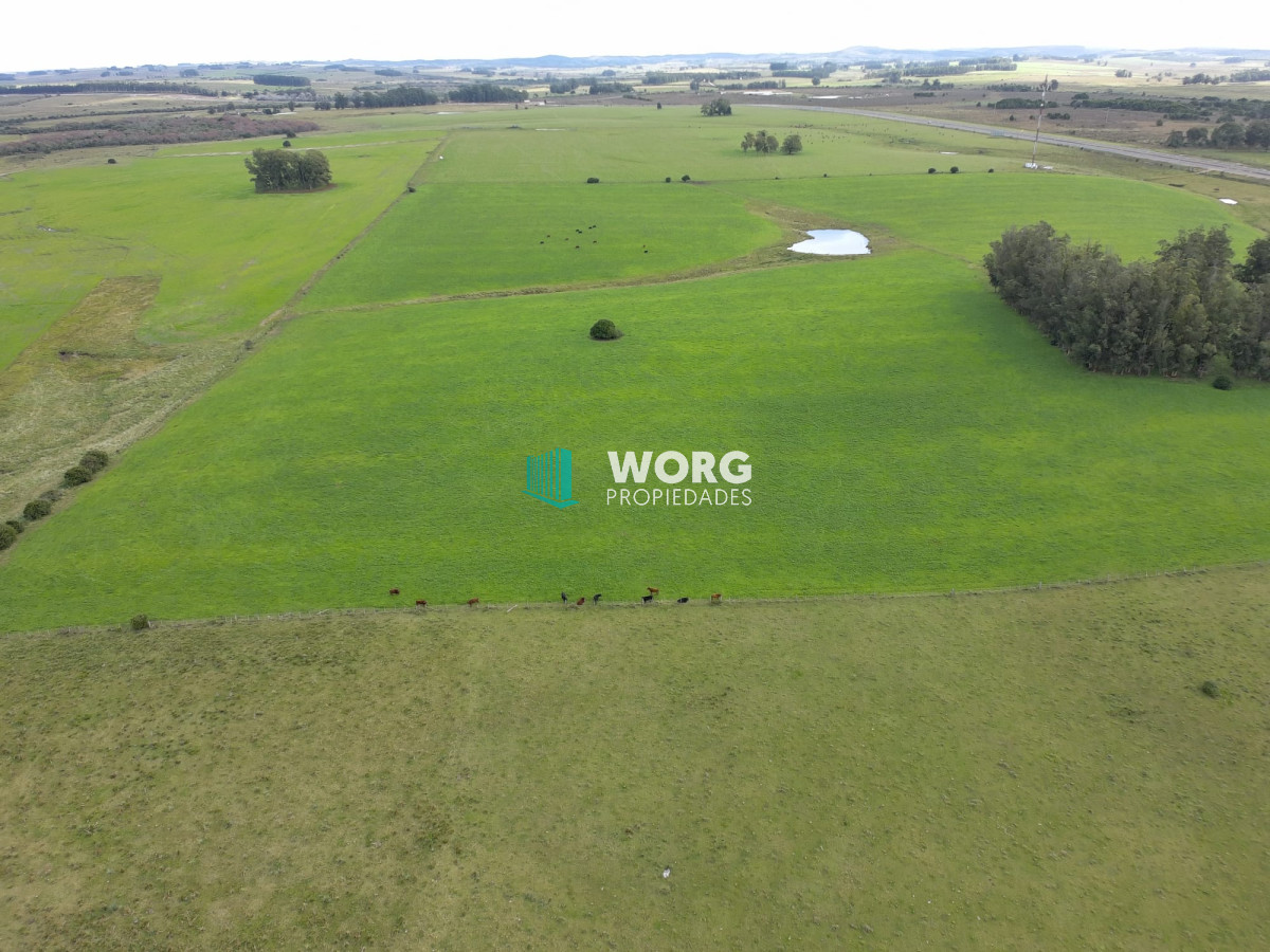 Campo Ref.27 - Excelente campo en en el sauce Rocha